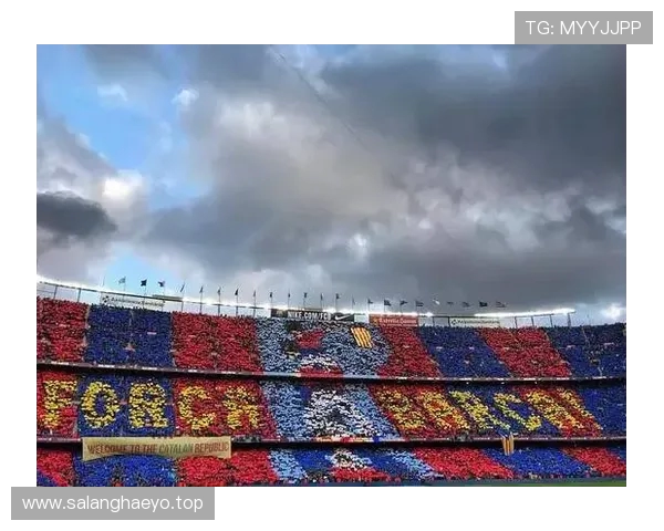 挪威将士暗爽？瑞典出局阴影下的北欧德比